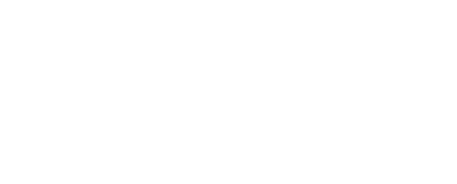 Circle Gold Partner logo