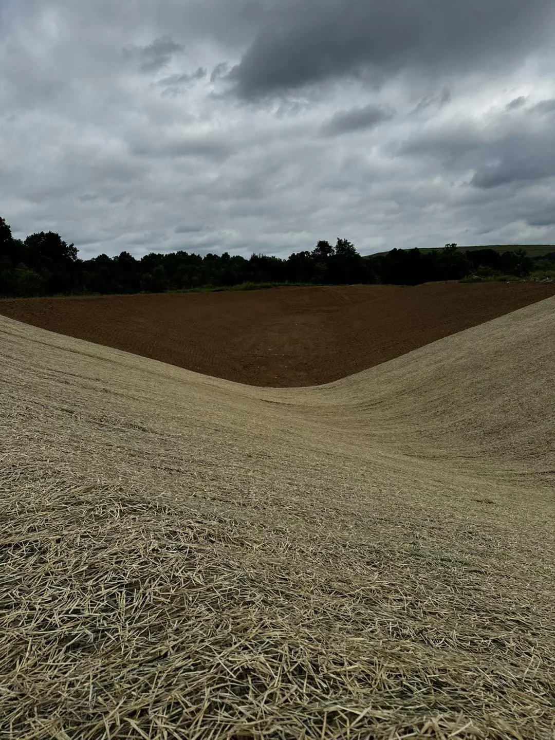 A photo of a farm field with a curved path separating a straw-covered area from freshly tilled earth, under a cloudy sky.