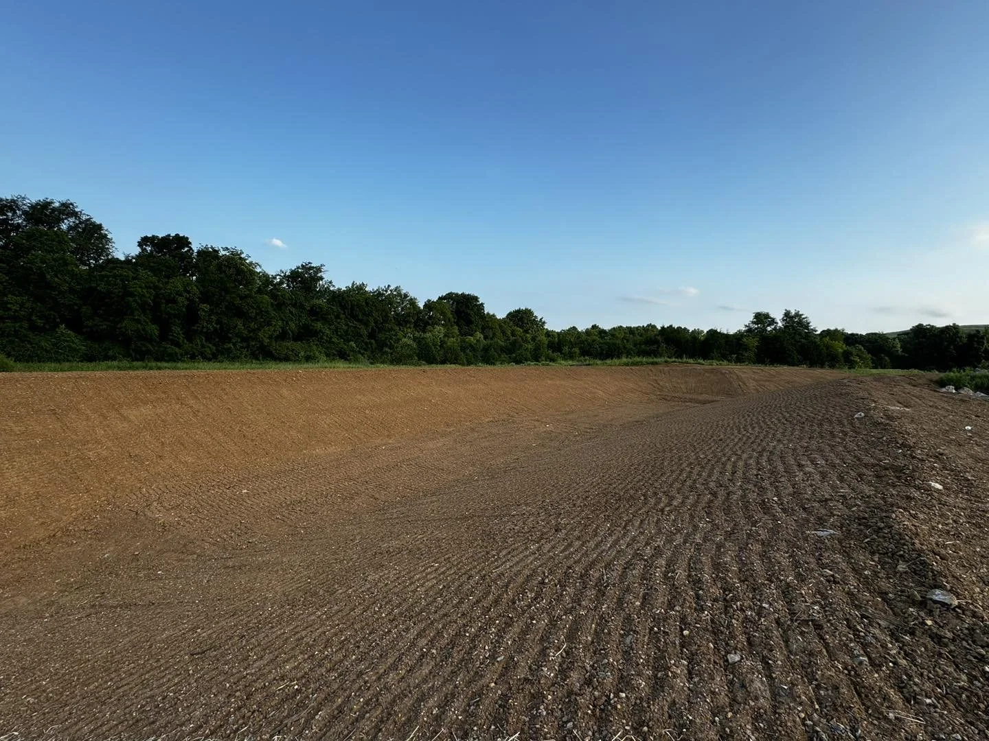 A cleared and level dirt field with tire tracks, bordered by lush green trees under a clear blue sky.