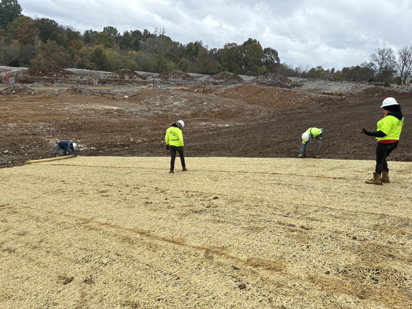 Construction workers laying down straw or mulch in an open field, with a construction site and trees in the background.