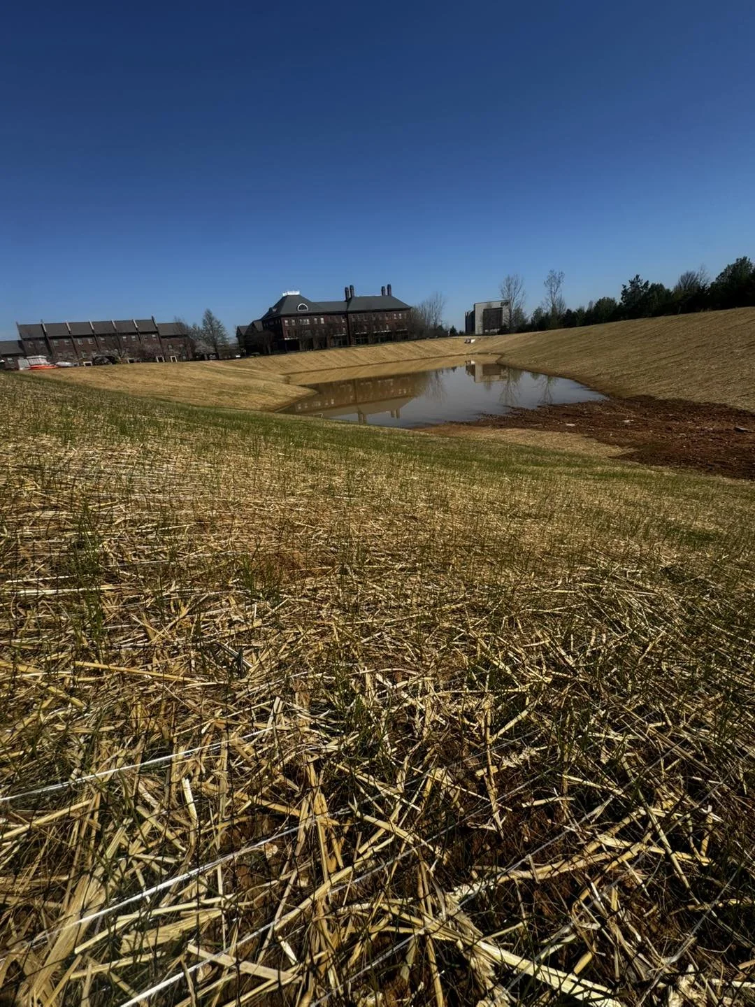 A landscape with dry grass and a small pond reflecting the buildings and clear blue sky in the background.