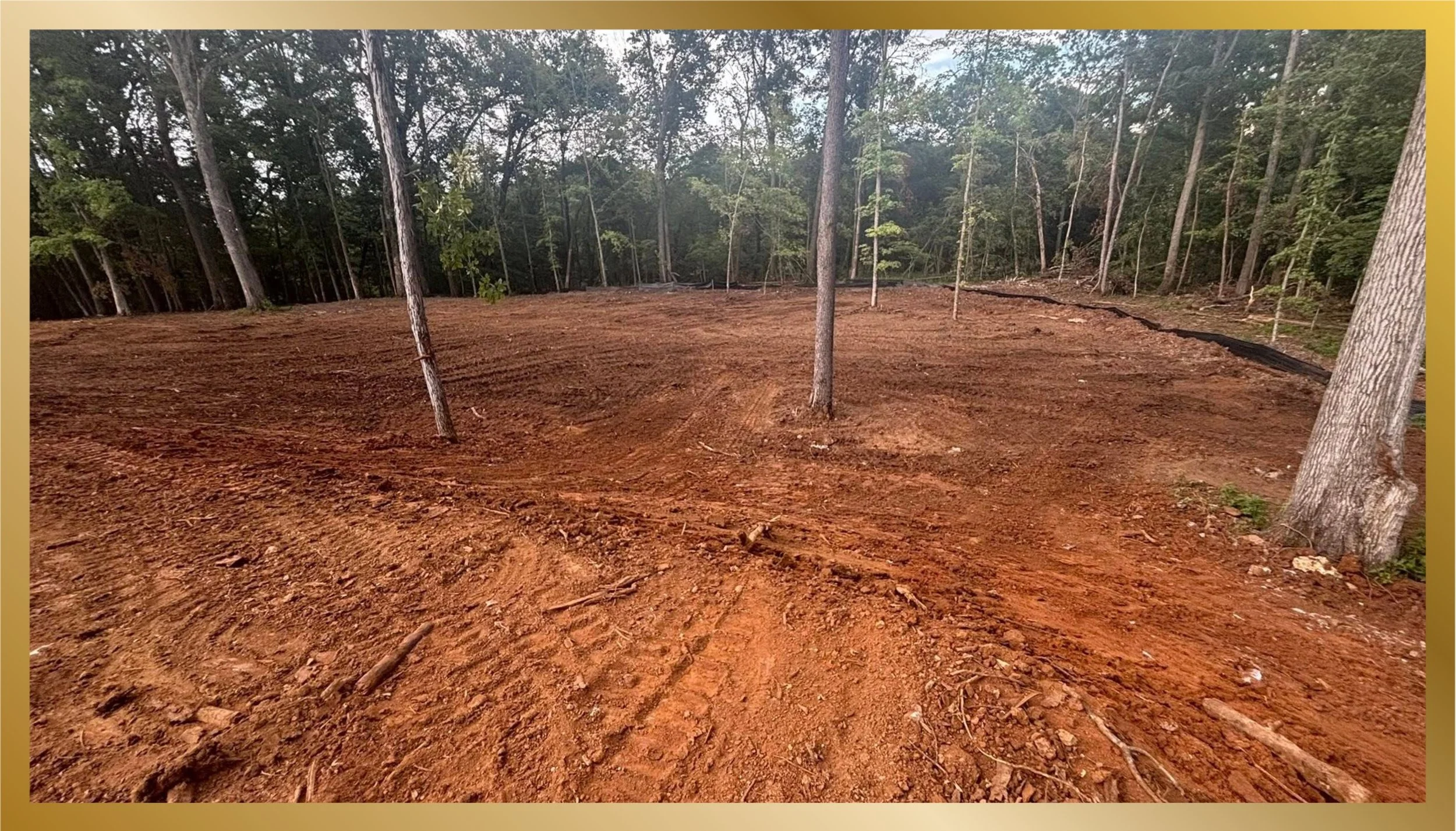A cleared wooded area with red dirt and a few small trees, surrounded by taller trees.