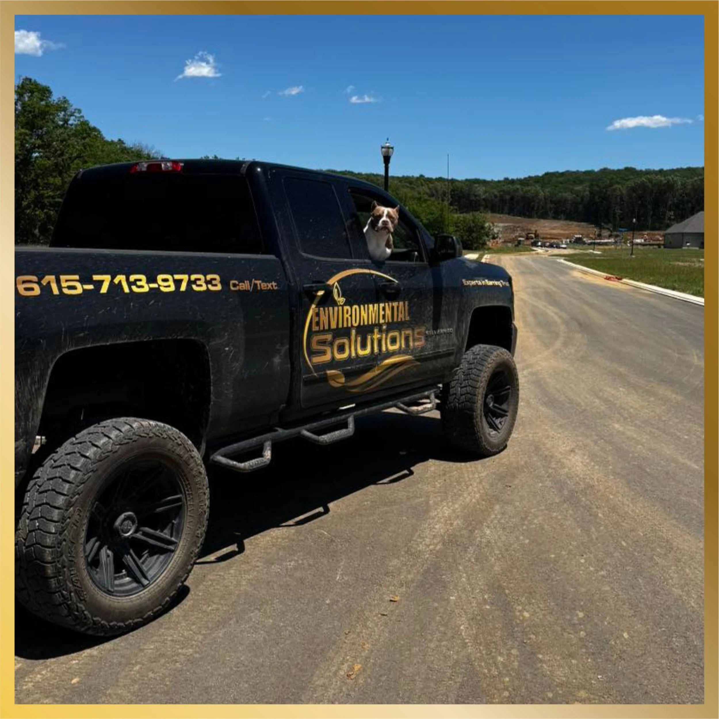 A black pickup truck with a dog sticking its head out of the window. The truck has yellow text on the side that reads "615-713-9733" and is labeled 'Environmental Solutions.' The photo shows an outdoor setting with a clear blue sky, some clouds, trees, a lamp post, and a dirt road.