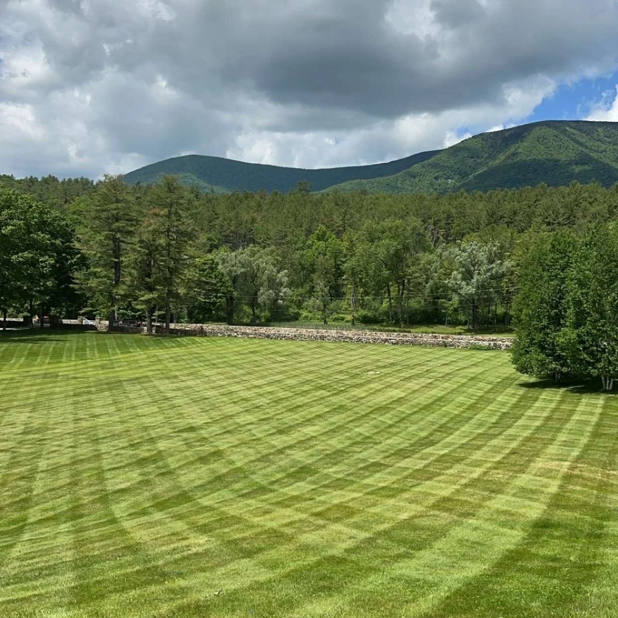 Lawn.jpg