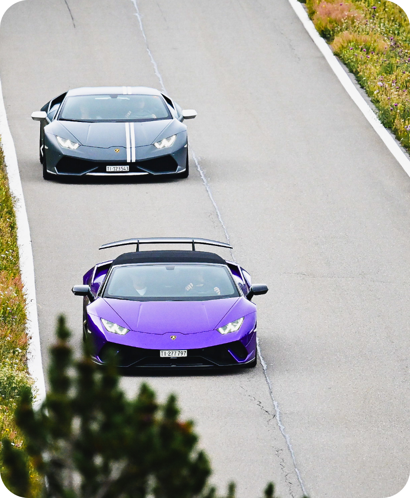 Speed Festival