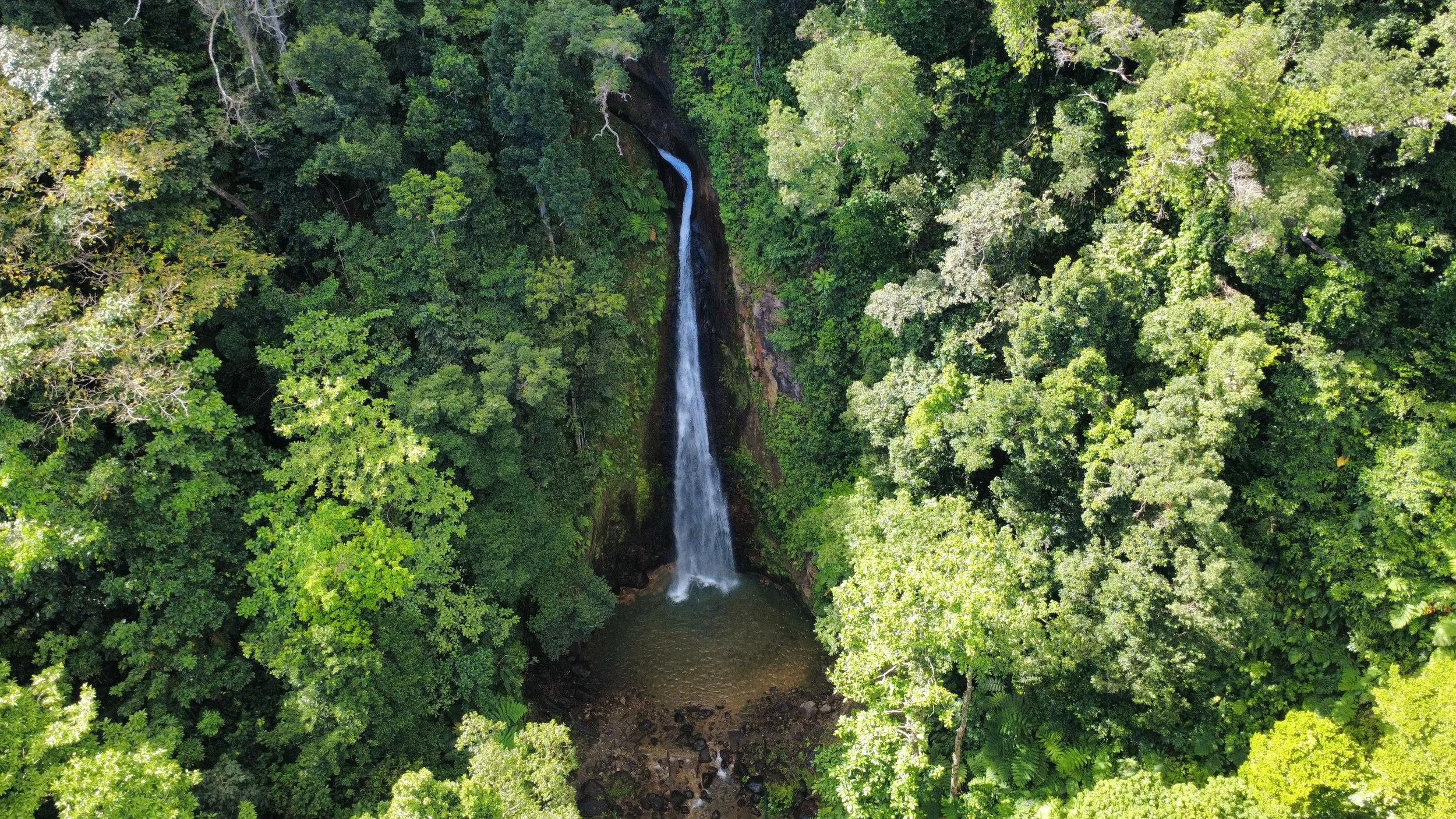 dji_fly_20260504_084200_153_1777898689427_photo_optimized.jpg