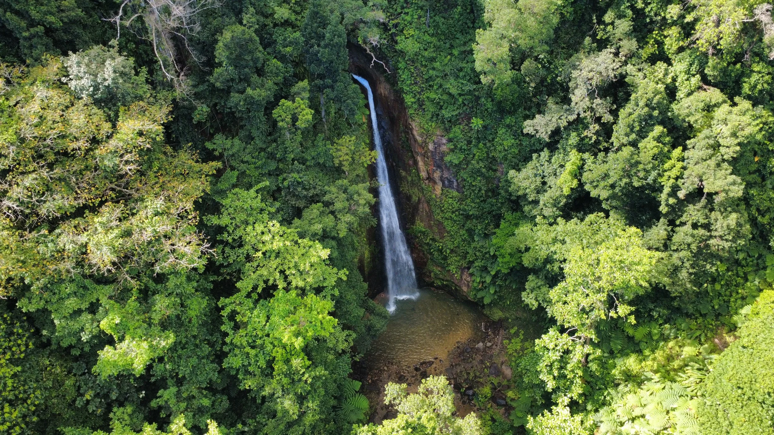 dji_fly_20260504_084230_155_1777898687370_photo_optimized.jpg