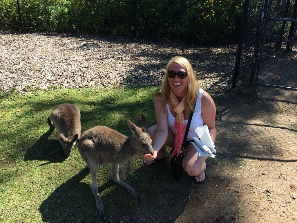 A woman crouching down and smiling, holding a snack for two kangaroos in a grassy area near a fence.