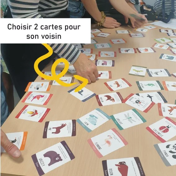 cartes totem onde de choc facilitation saint malo-3.jpg