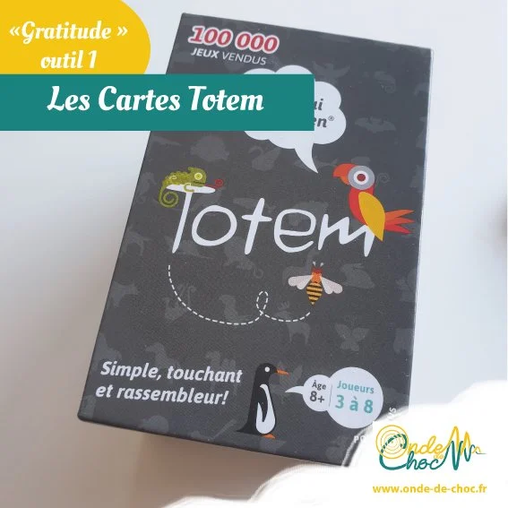 cartes totem onde de choc facilitation saint malo-1.jpg