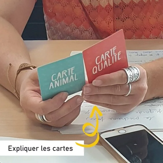 cartes totem onde de choc facilitation saint malo-2.jpg