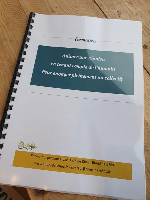 FORMATION ANIMATION REUNION ONDE DE CHOC (LK4).jpg