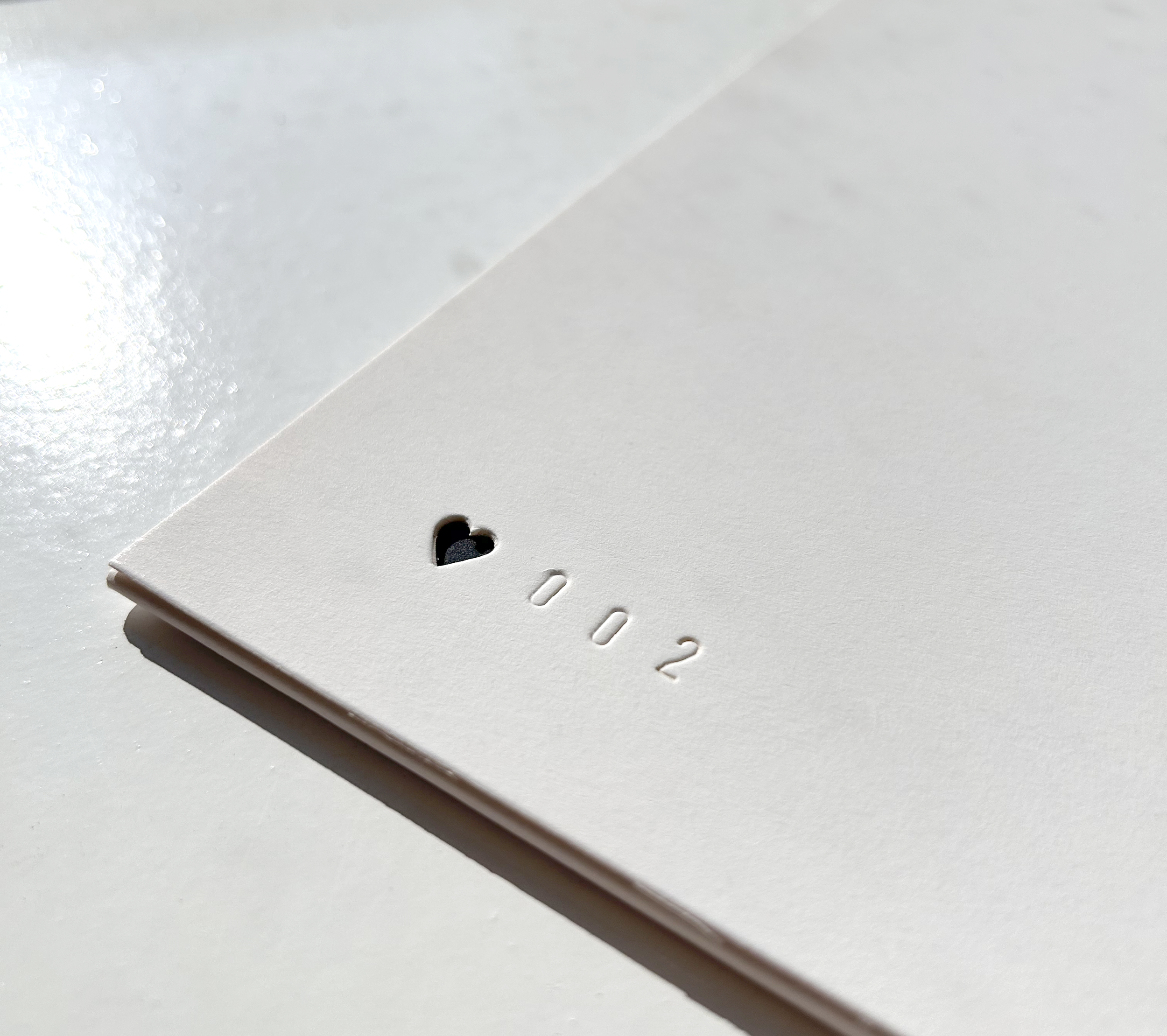 Detail Closeup 01.png