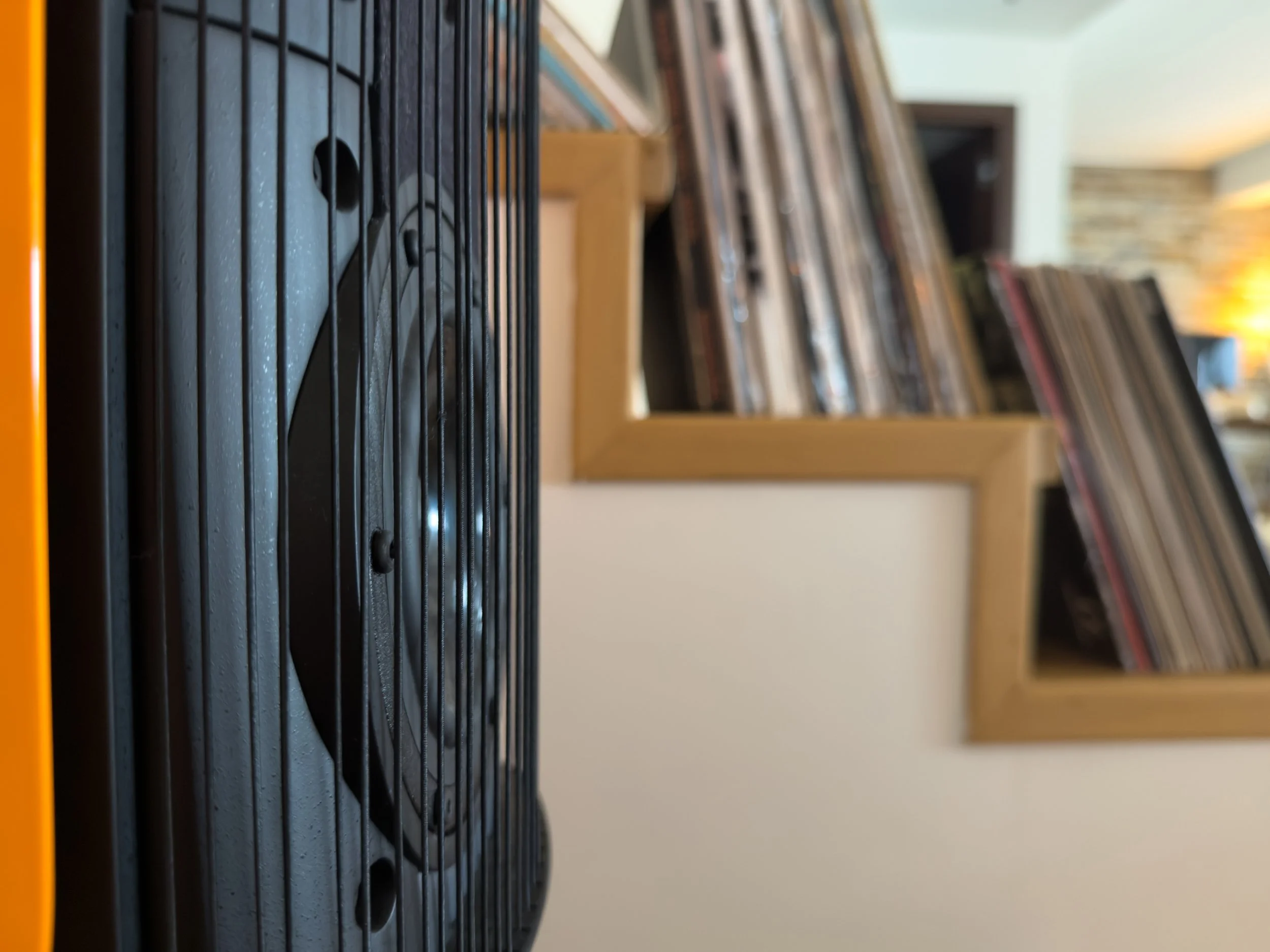 Thoughtfully curated loudspeaker and vinyl collection at Astraea Villa.