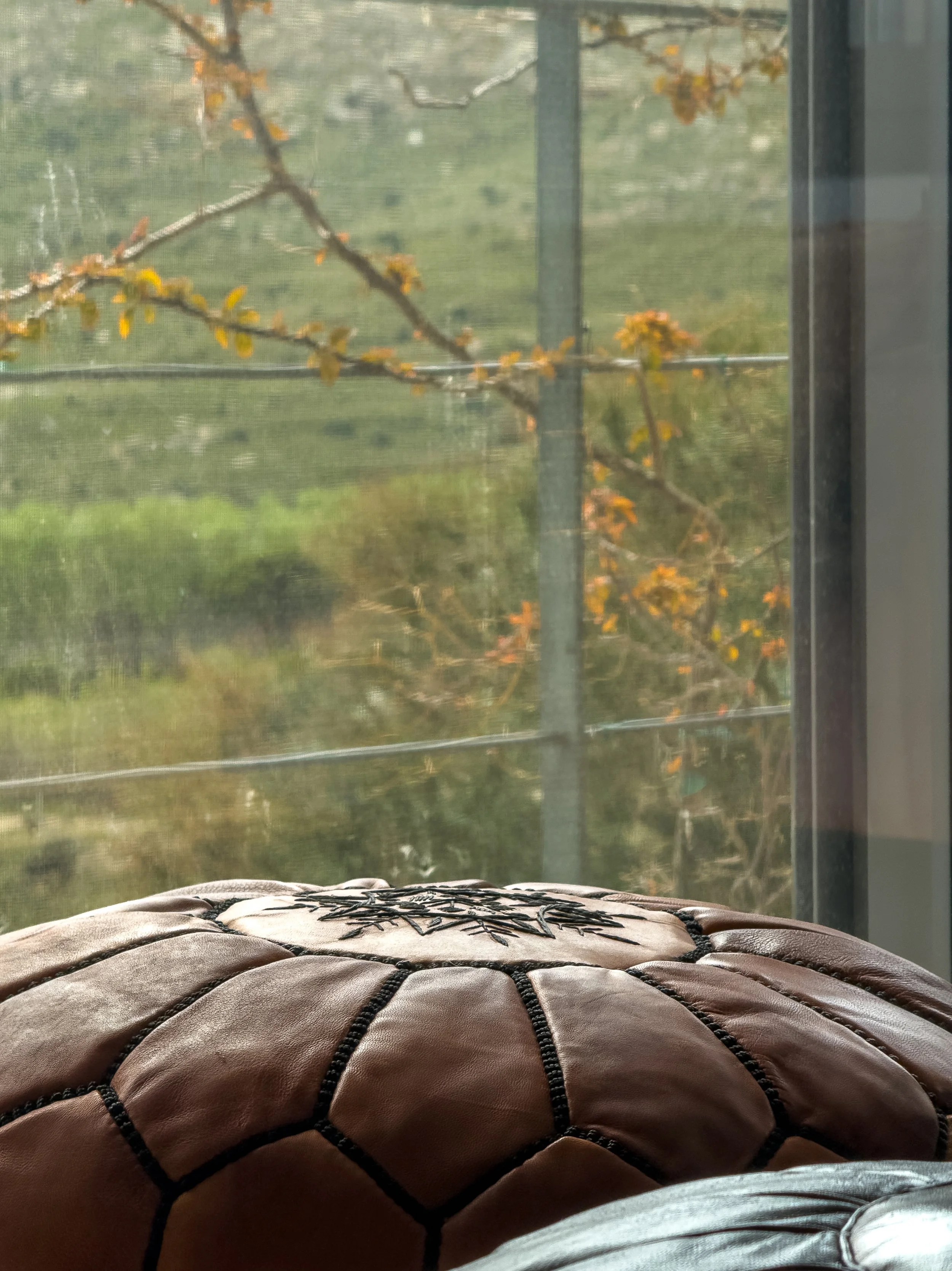 Slow morning views shaped by softness and connection to nature at Astraea Villa.