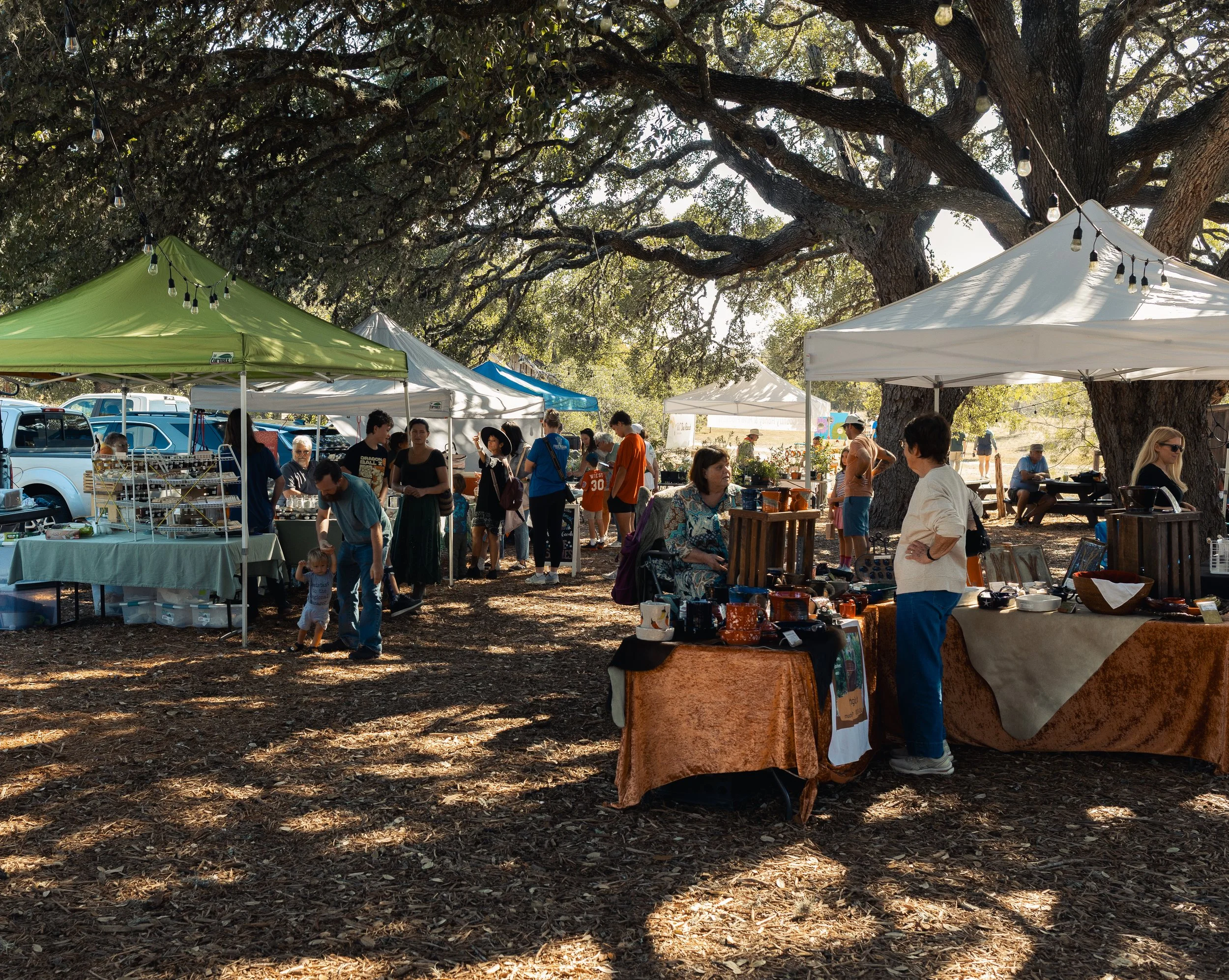 Farmers Market Tents under the Oak Motte