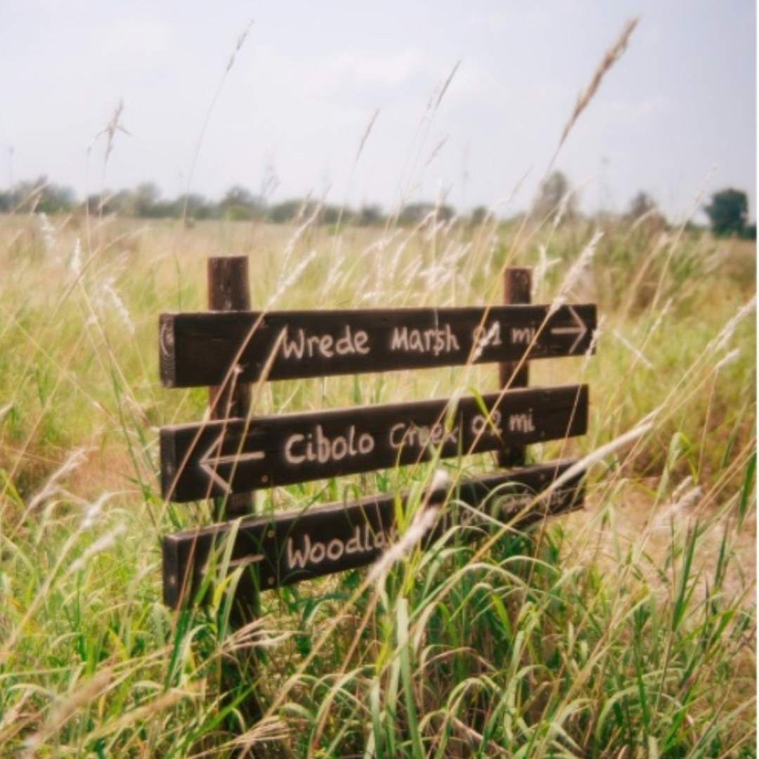 Trail sign in prairie
