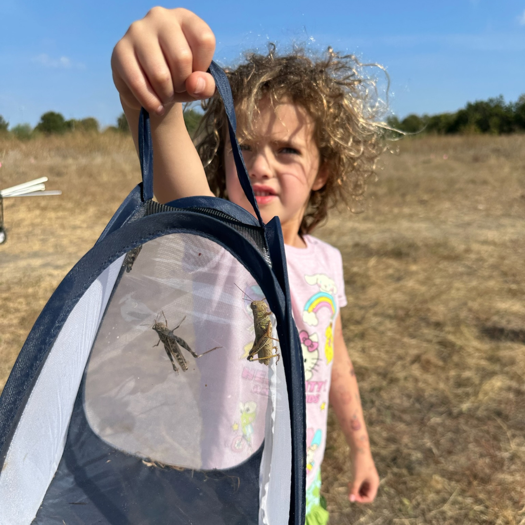 Homeschool girl holding a bug net