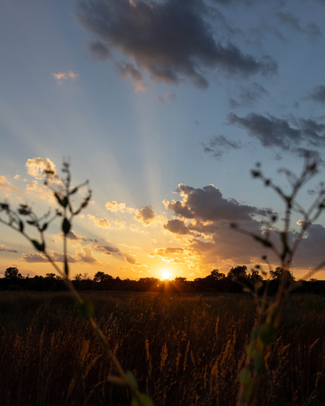 Sunset over the prairie