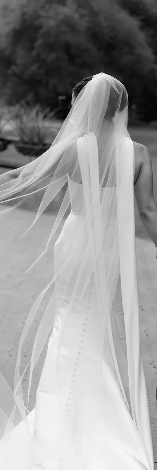 A woman wearing a wedding dress and veil outdoors with trees in the blurred background.