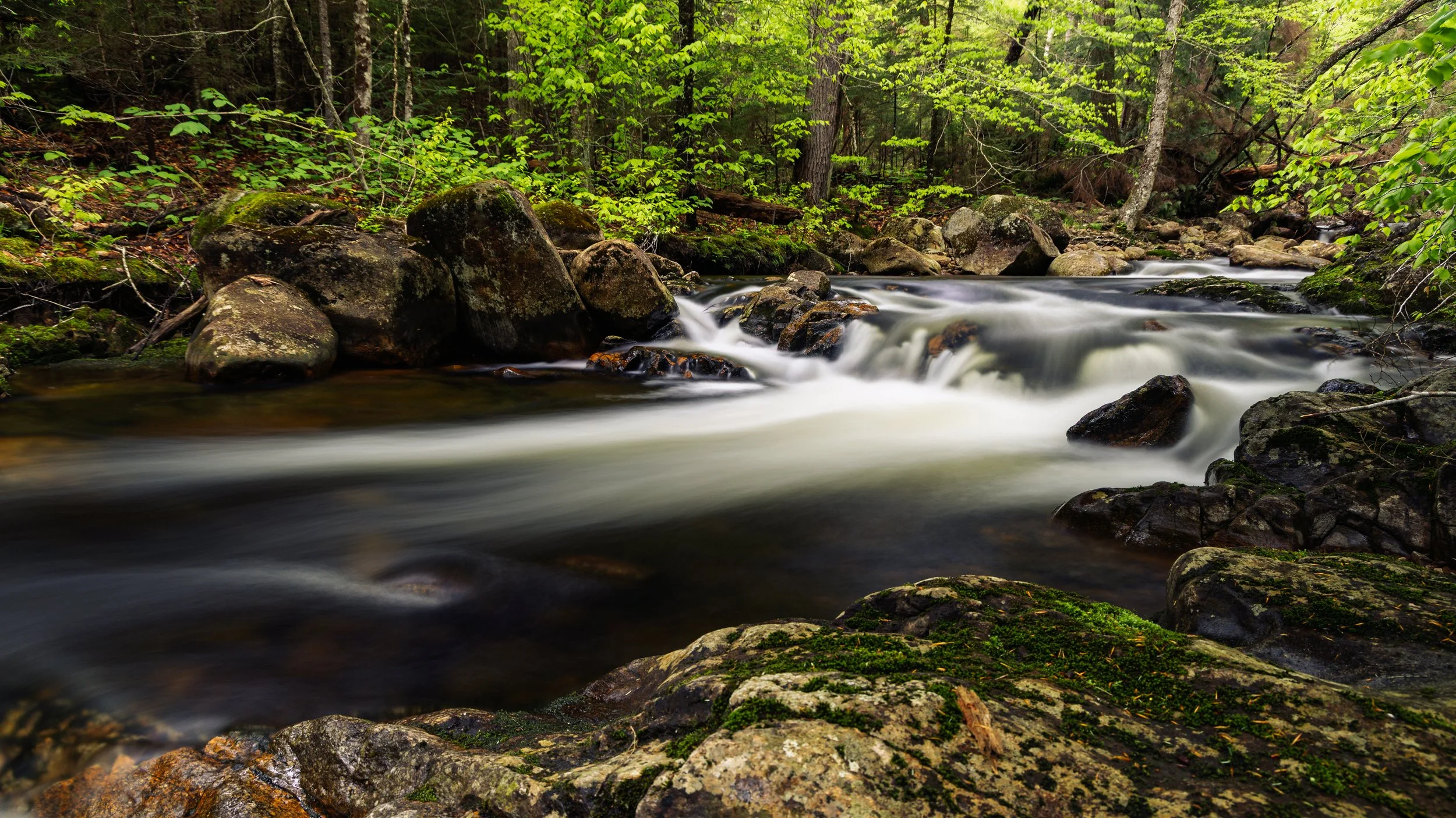 A flowing stream through a dense green forest with moss-covered rocks.