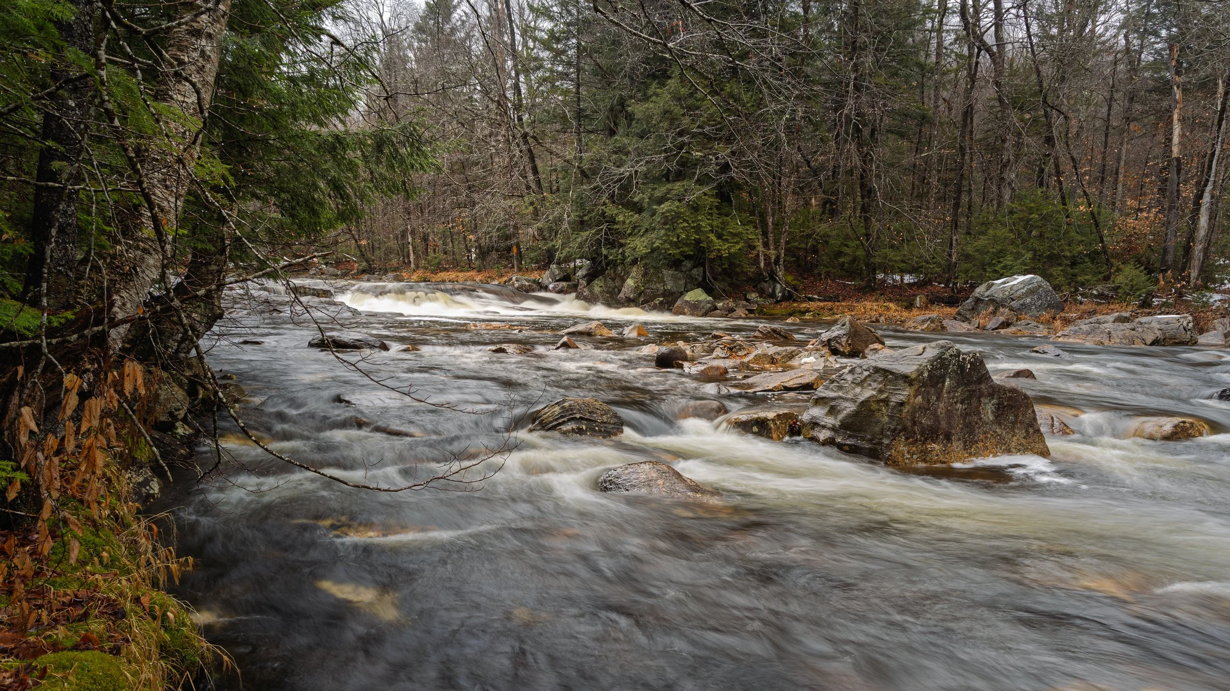 A flowing river in a forested area with rocks and trees, some of which have dried leaves, and the water appears to be moving quickly.
