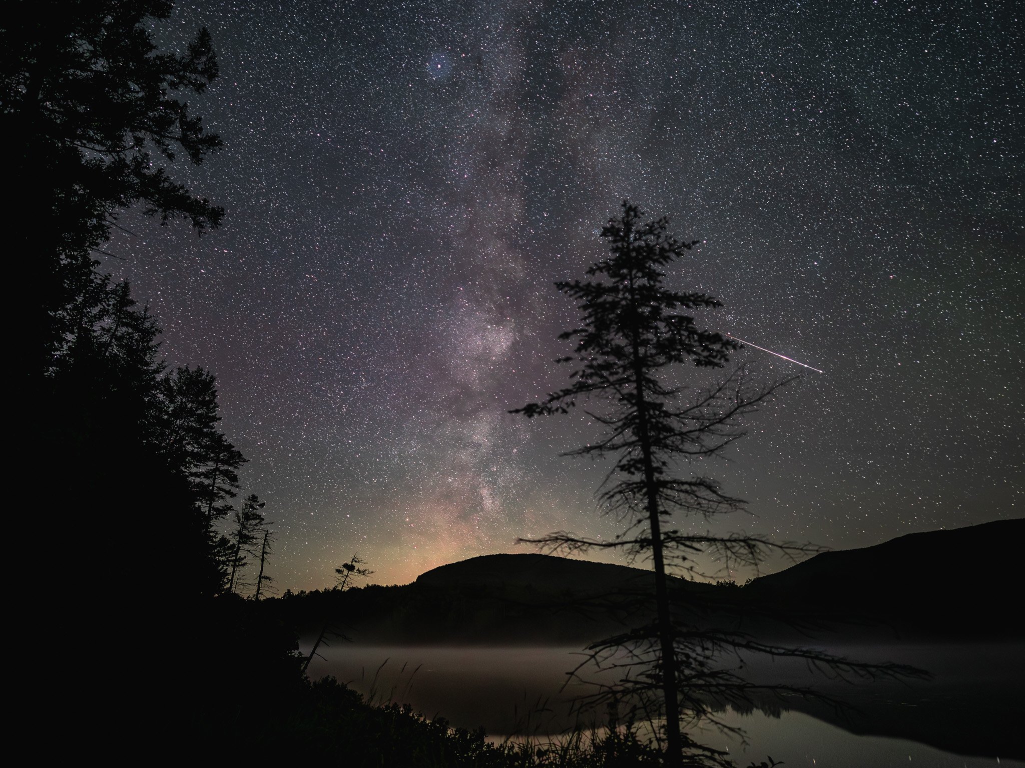 Night sky filled with stars, with the Milky Way galaxy visible, above a silhouette of trees and mountains.