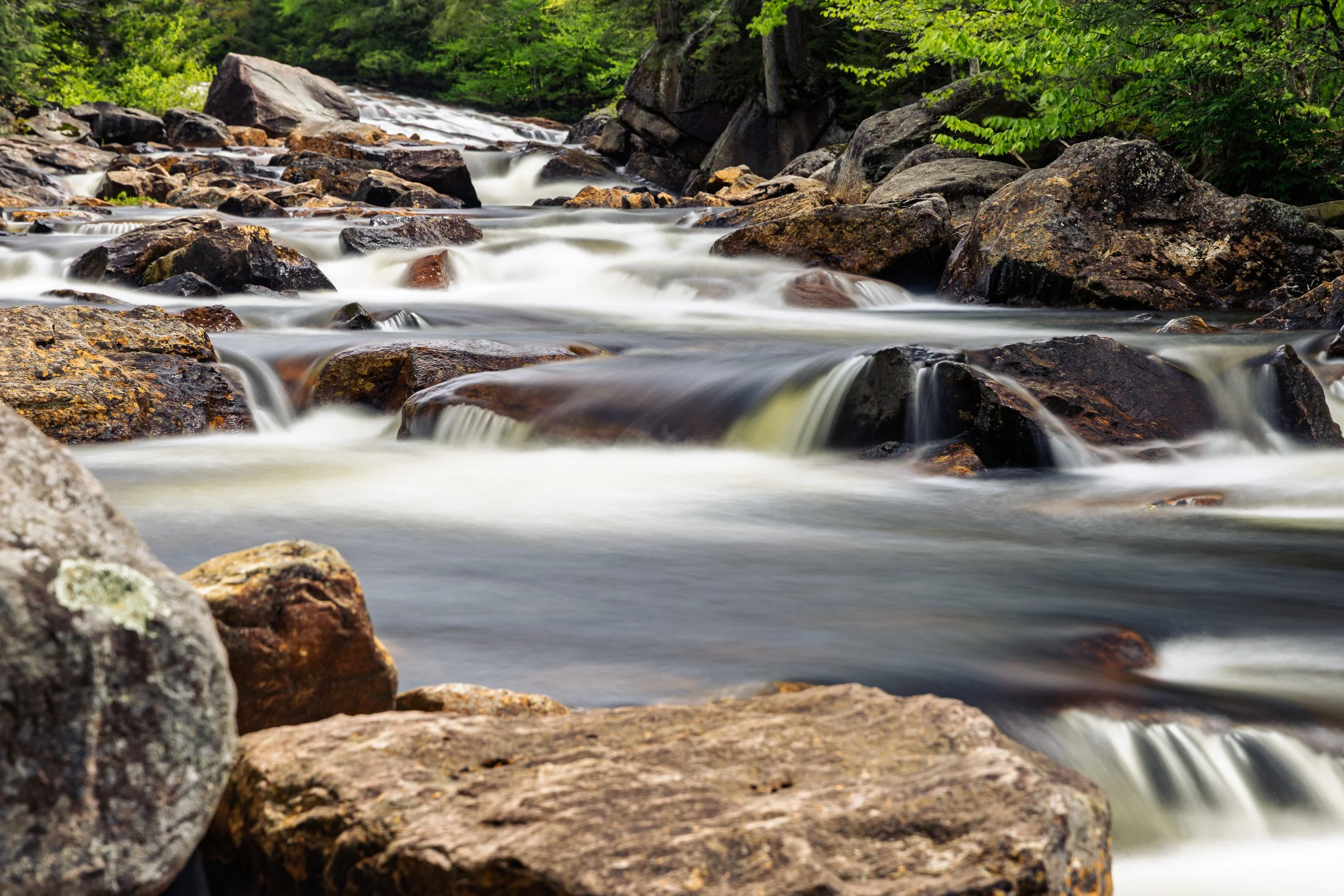 Stream flowing over rocks in a forested area with green foliage.