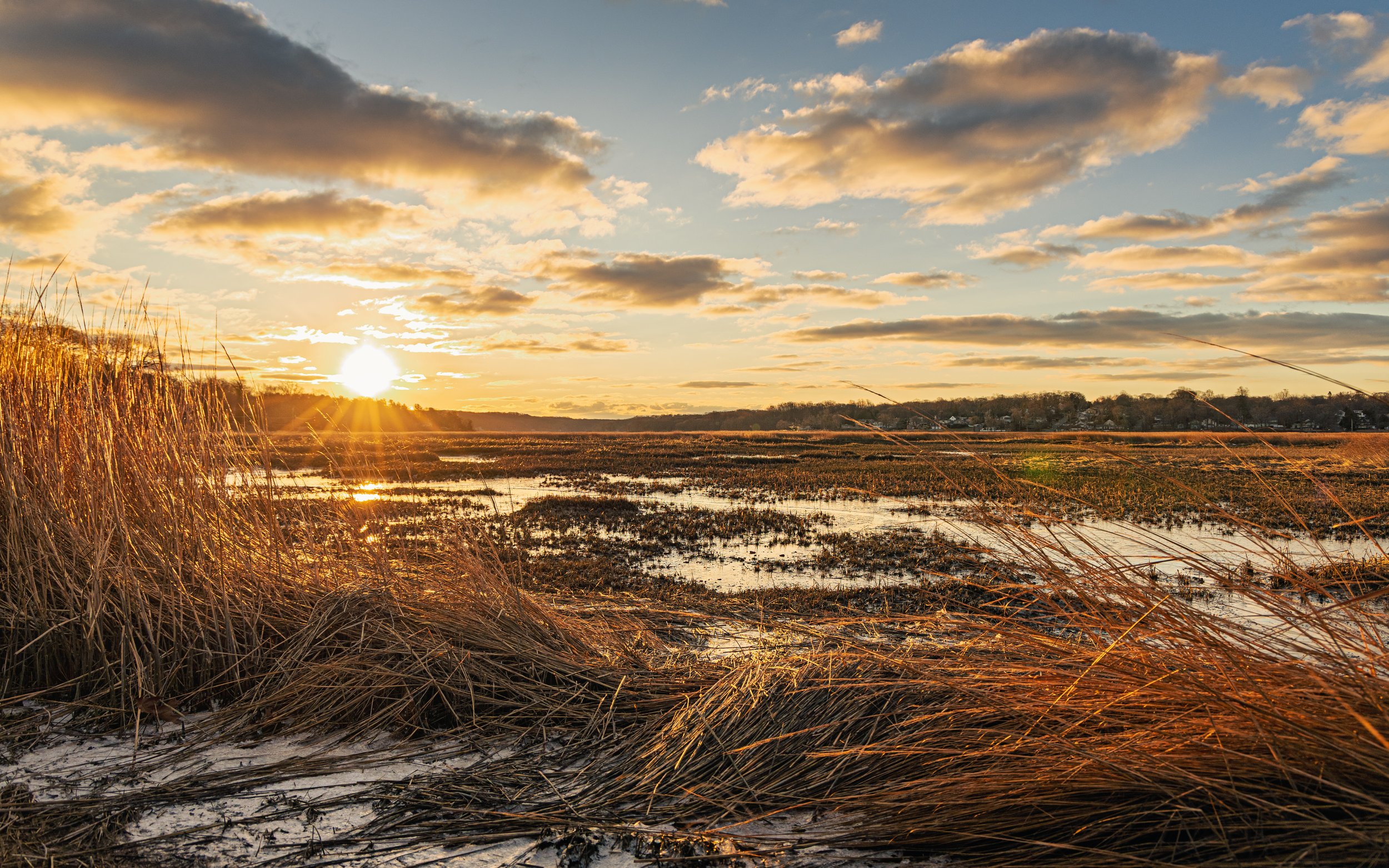 A scenic sunset over a marsh with patches of water, tall dry grasses in the foreground, and a partly cloudy sky with yellow and orange hues.