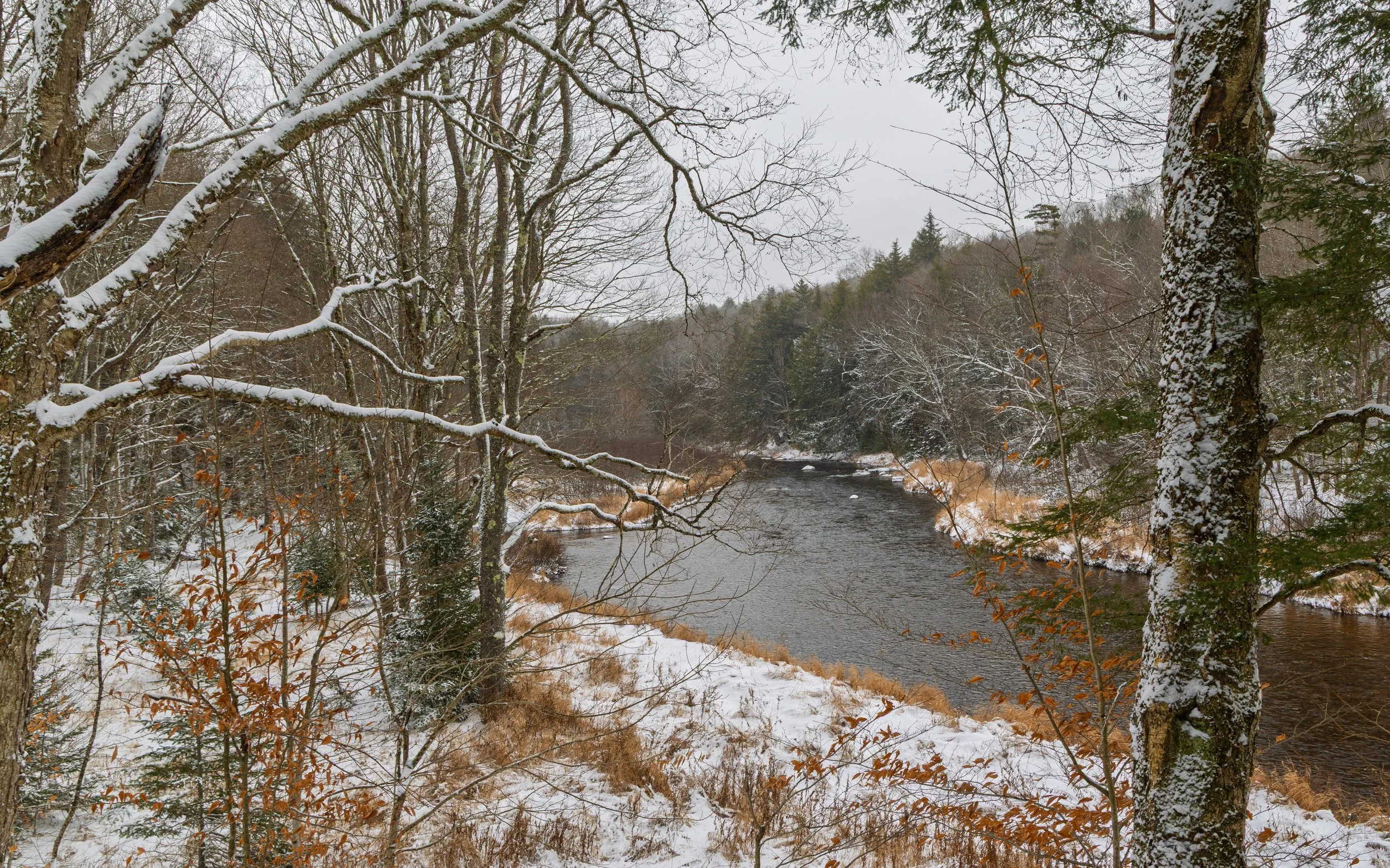 A snowy landscape featuring a river lined with trees covered in snow, with some brown foliage visible through the snow, and a cloudy sky overhead.