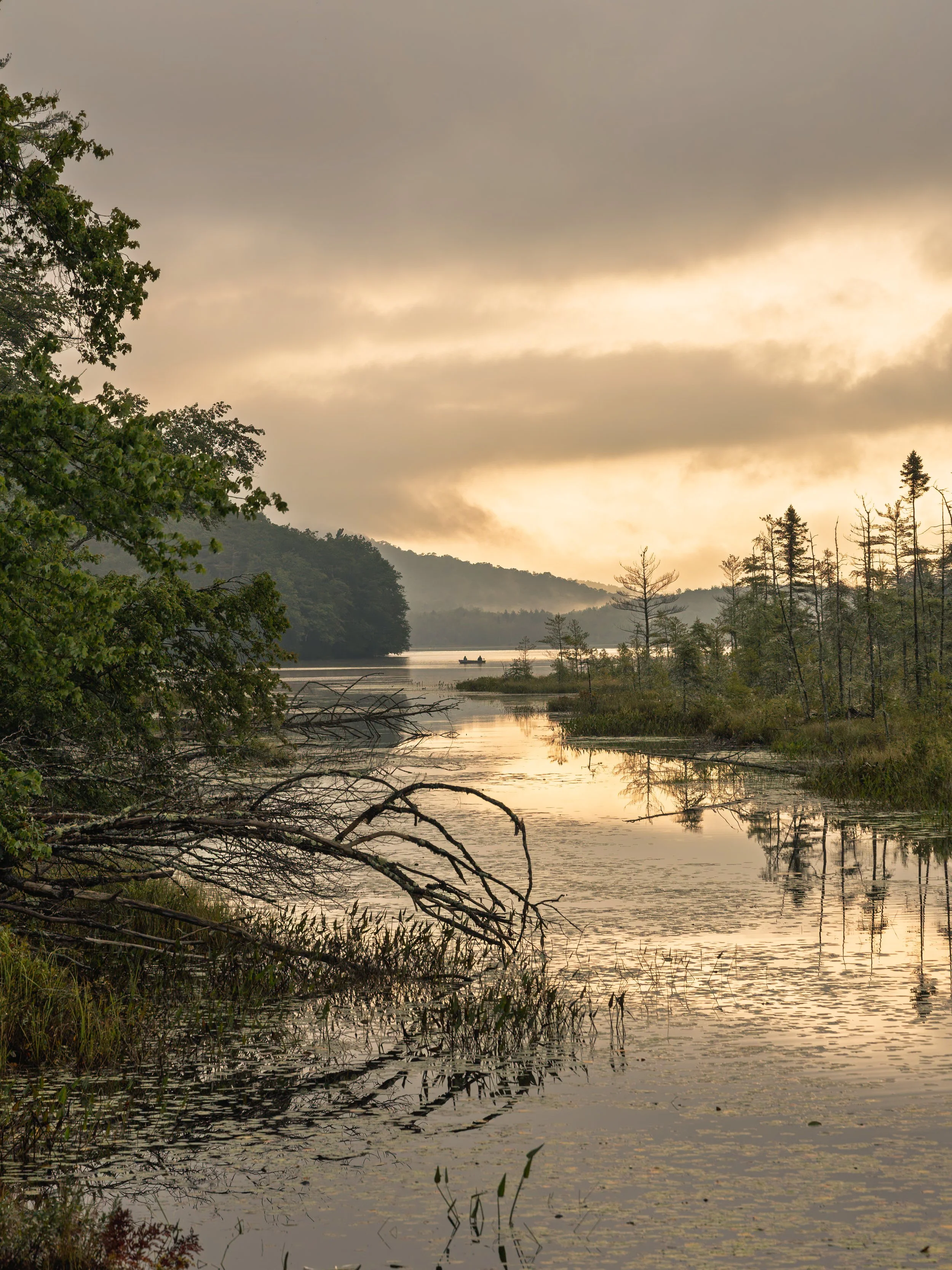 Calm river with trees along the shoreline, misty hills in the background, and a cloudy sky at sunset or sunrise.