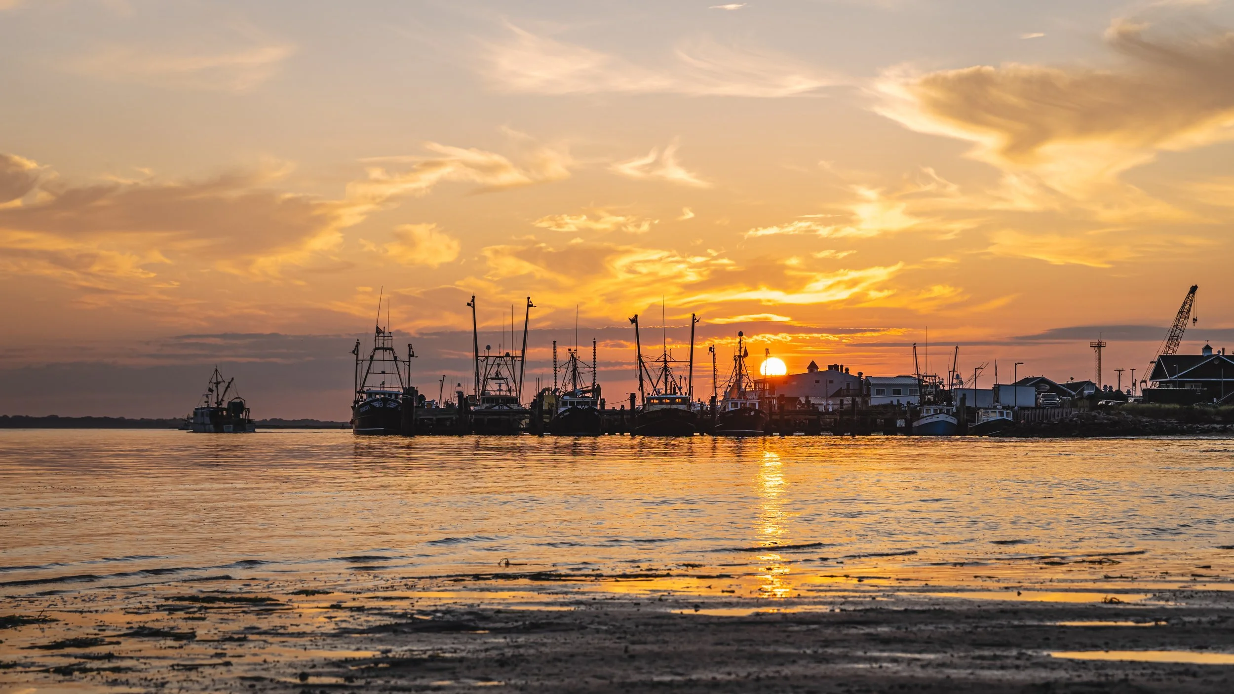 Fleet at Daybreak captures a line of commercial fishing vessels and pier structures silhouetted against a low, golden sun over Shinnecock Bay. Pale-blue sky and wispy clouds reflect across calm, shallow water; horizontal bands of color and subtle rip