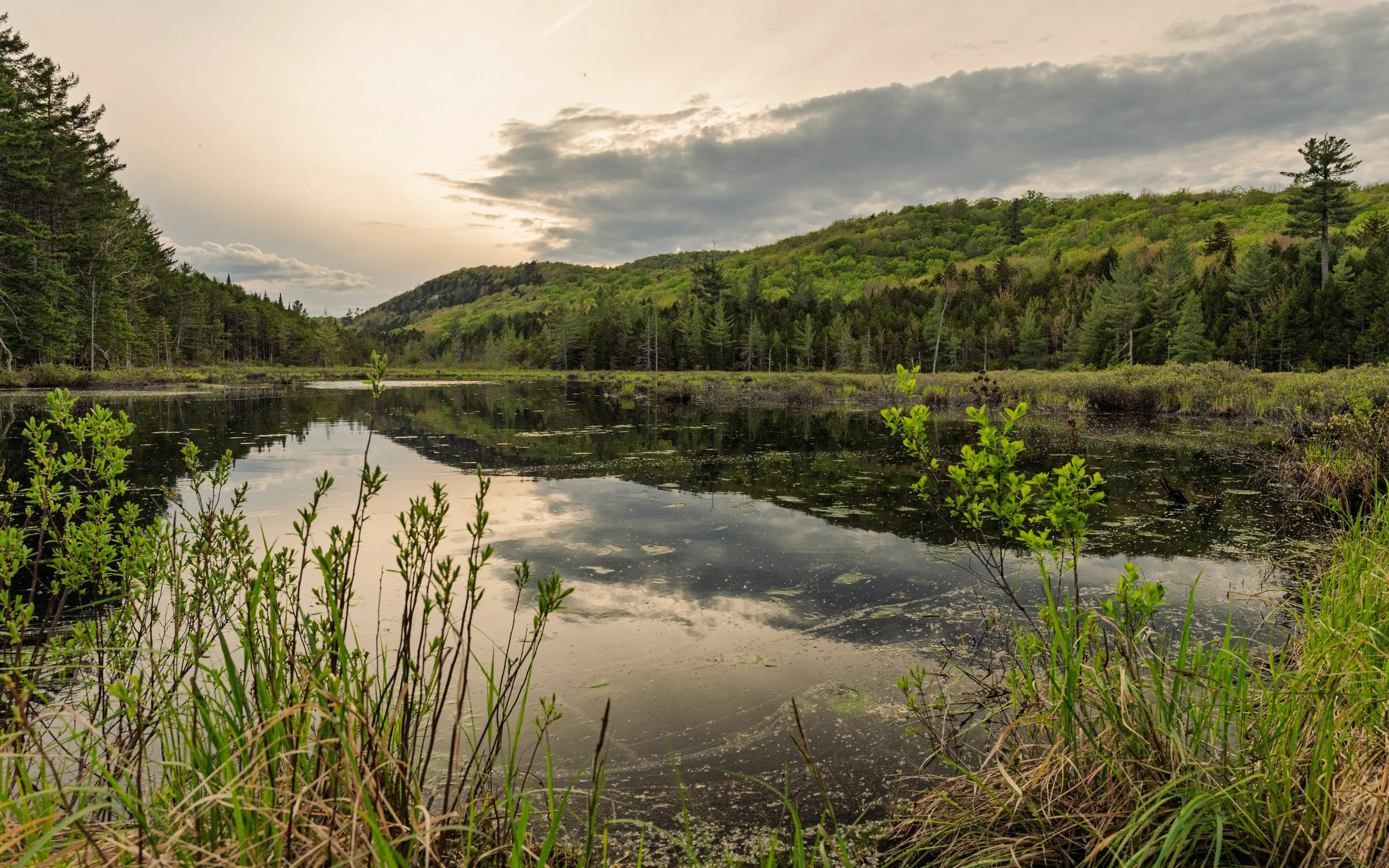 A serene landscape featuring a body of water reflecting the cloudy sky, surrounded by lush green trees and shrubs on rolling hills.