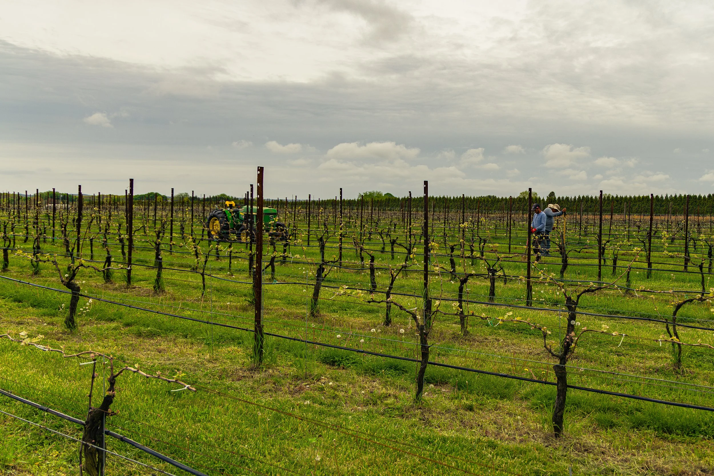 677A0523-Enhanced-NR.jpg