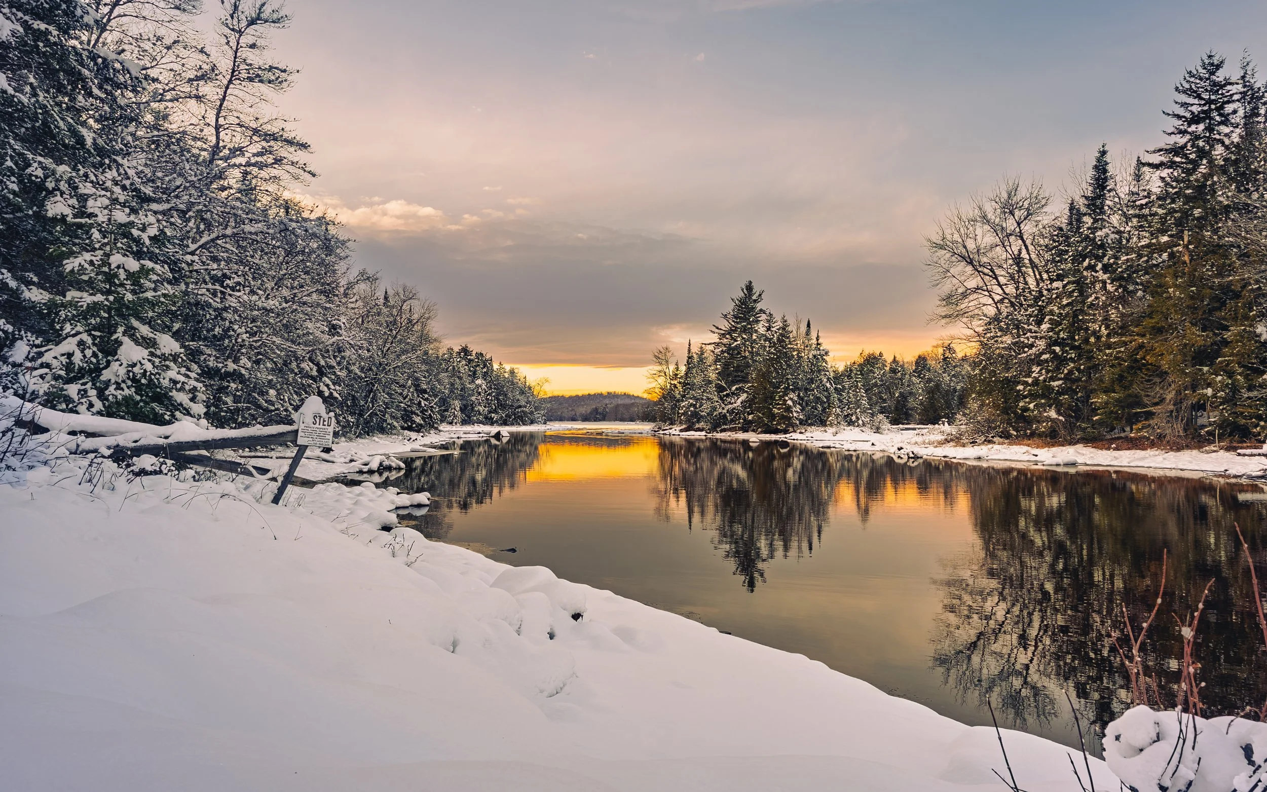 Snow-covered trees along a river during sunset in winter.