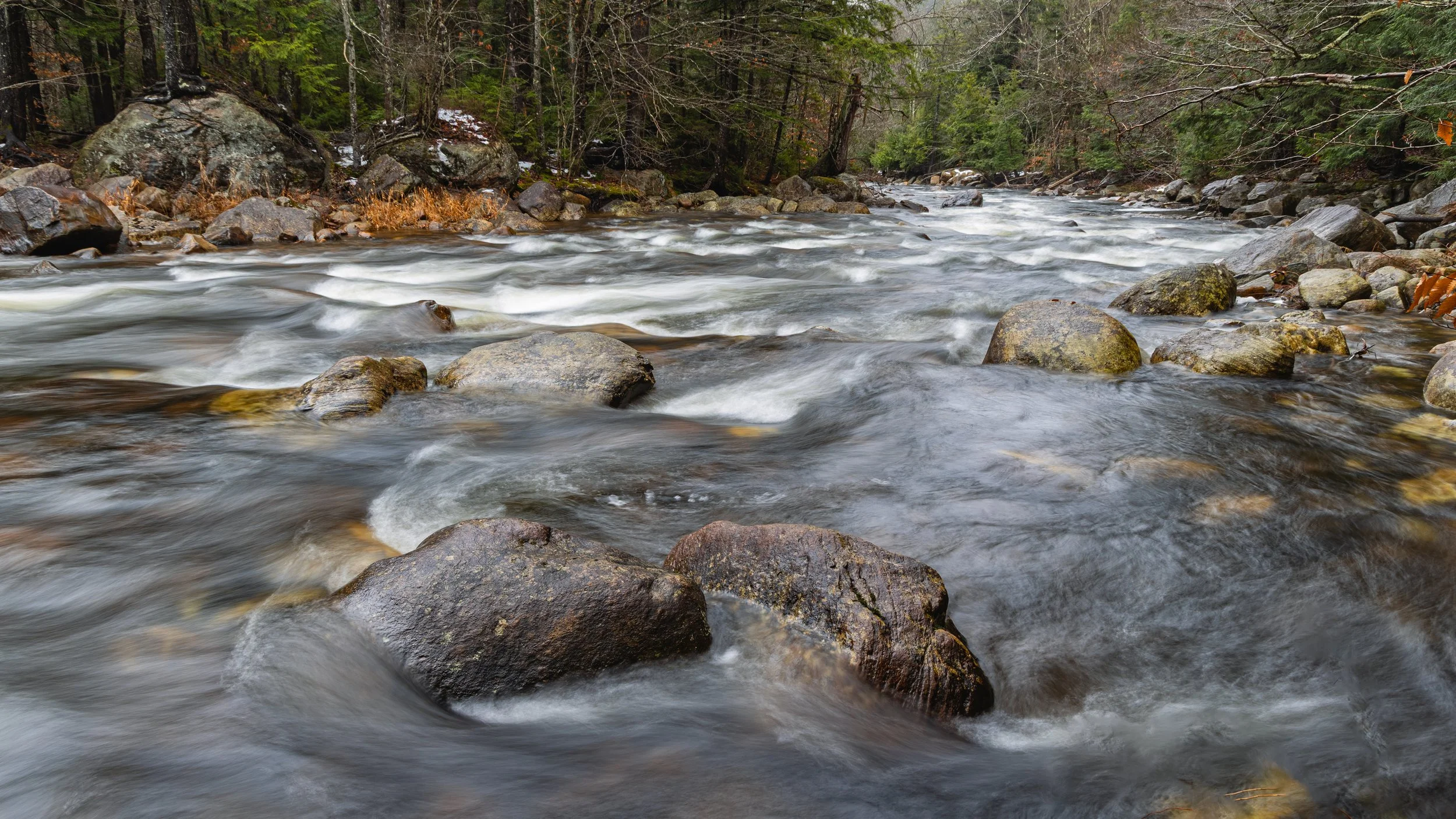 A flowing river with rocks and stones in a forested area, showing trees and fallen leaves.