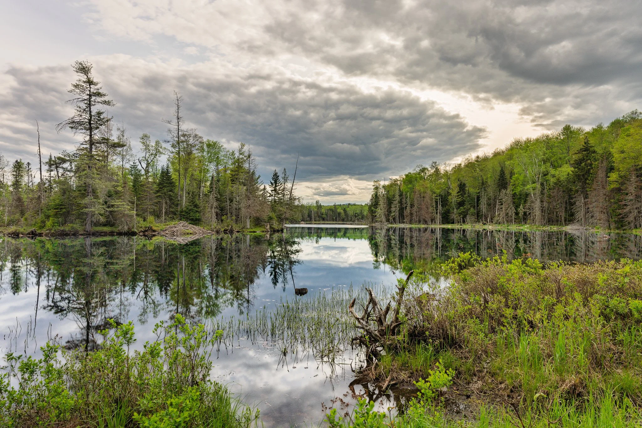 A serene lake surrounded by lush green trees, with a cloudy sky reflected on the water.