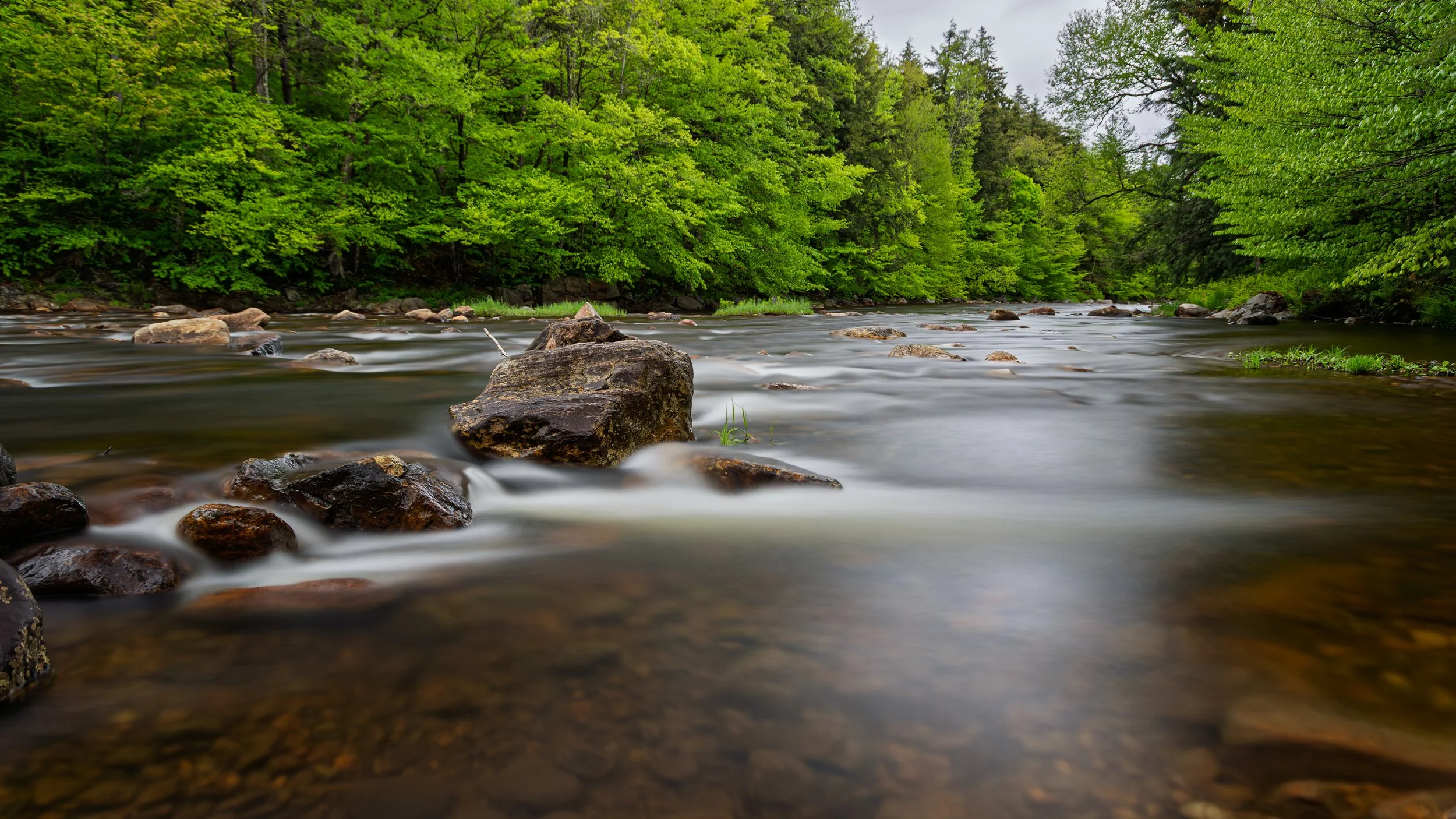 A flowing river with rocks and lush green trees along the banks.