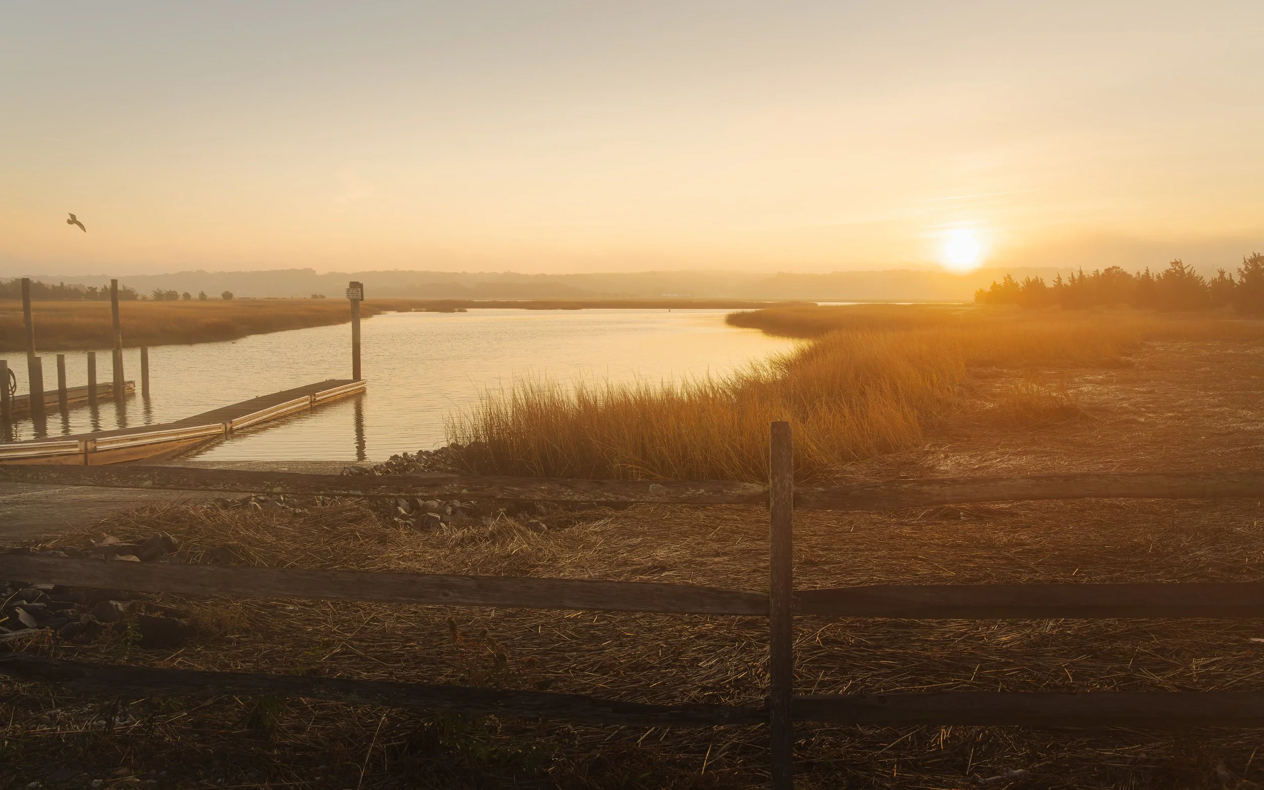 A sunset over a marshland with calm water, grassy banks, and a few wooden posts. A bird is flying in the sky.