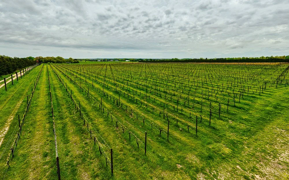 DJI_20250504123911_0010_D.jpg