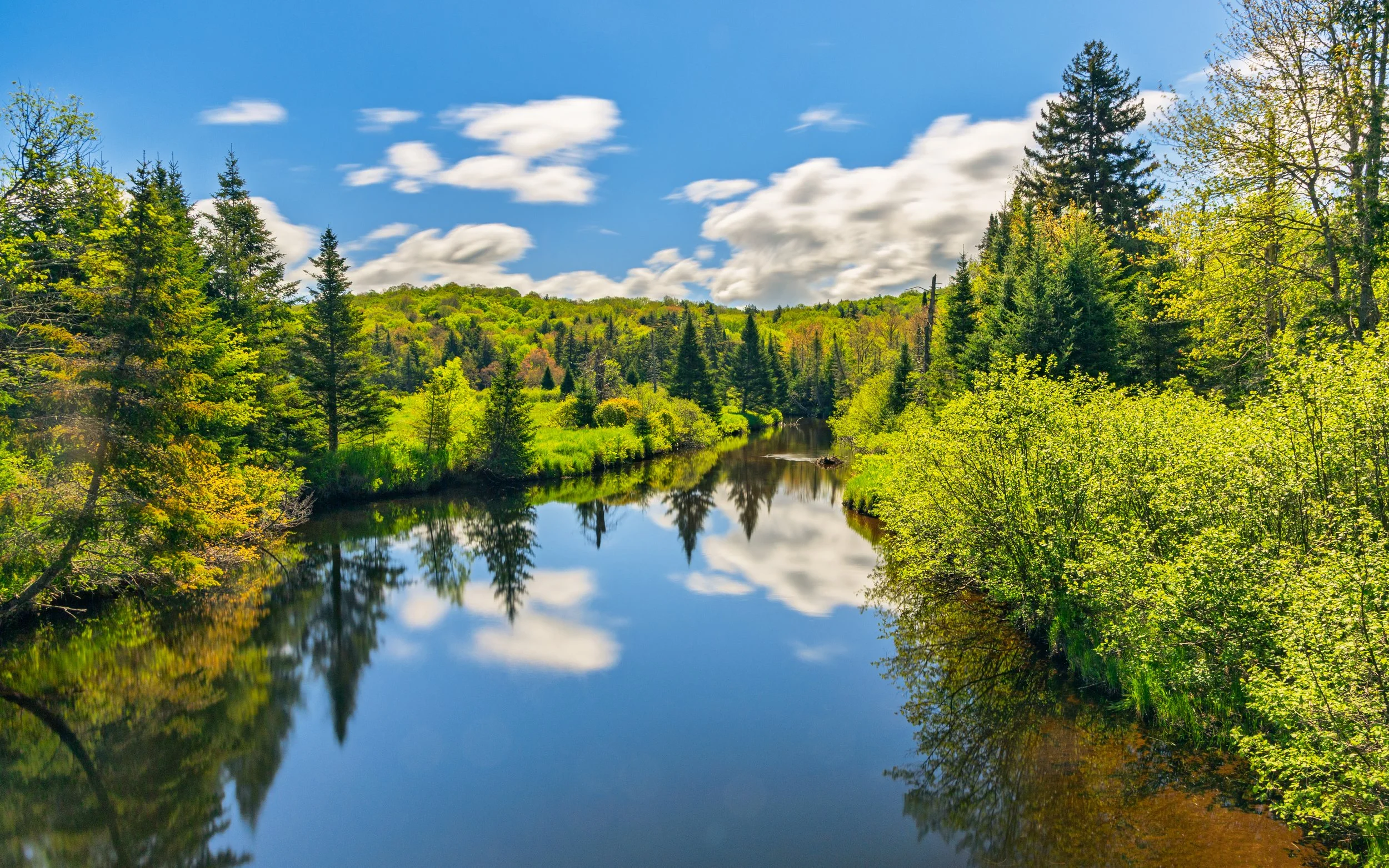 A scenic view of a river surrounded by lush green trees under a partly cloudy sky.