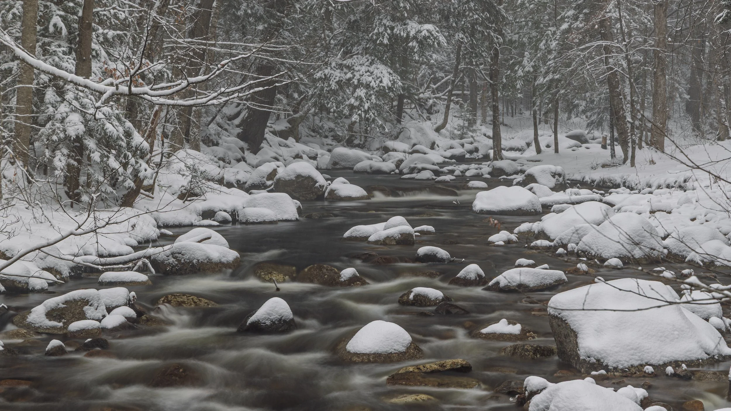 Snow-covered rocks and trees in a forest with a flowing stream