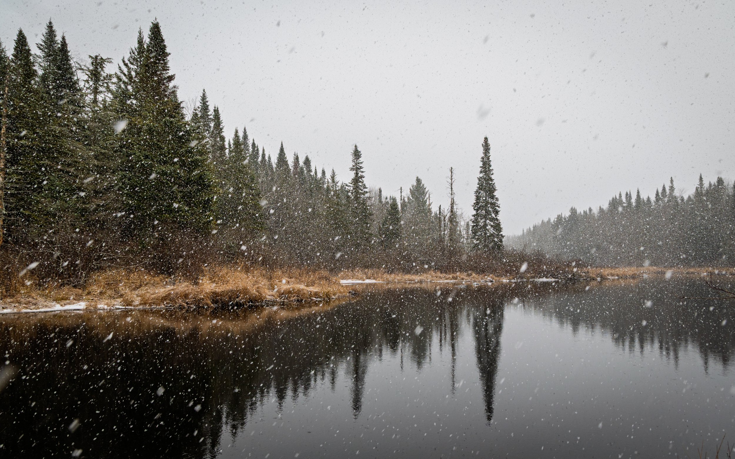 Snow falling over a calm river with dense evergreen trees on the riverbank.