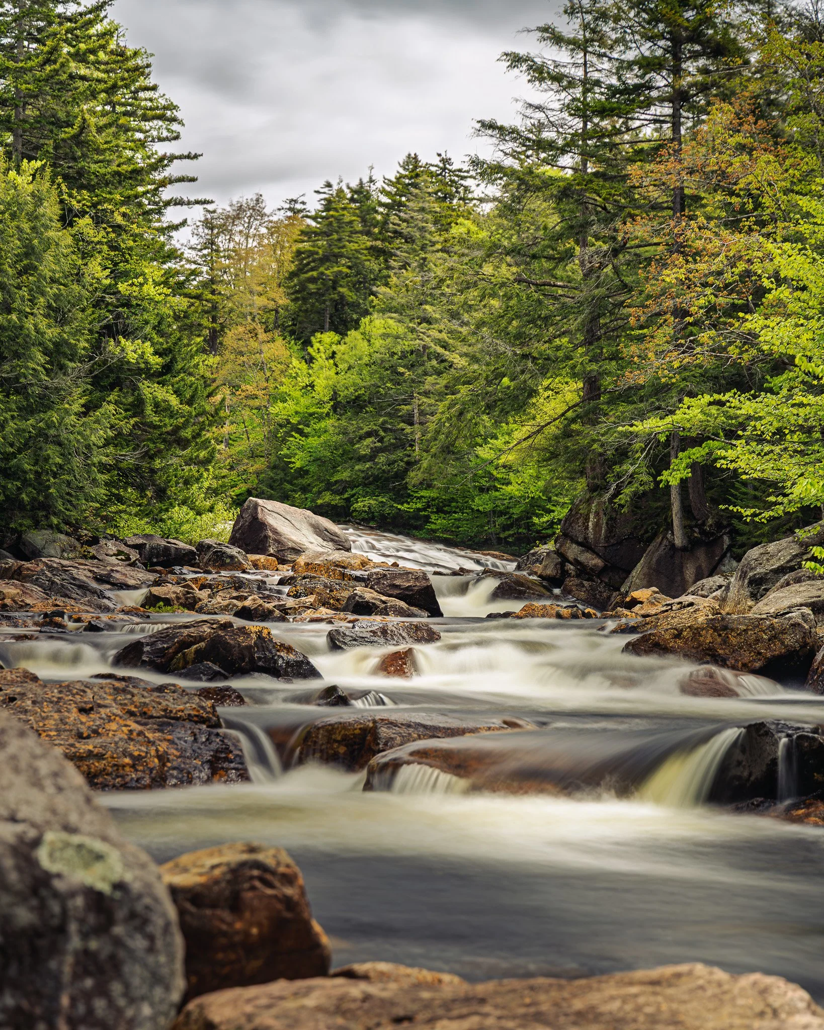 A flowing river with rocks and dense green trees on both sides under a cloudy sky.