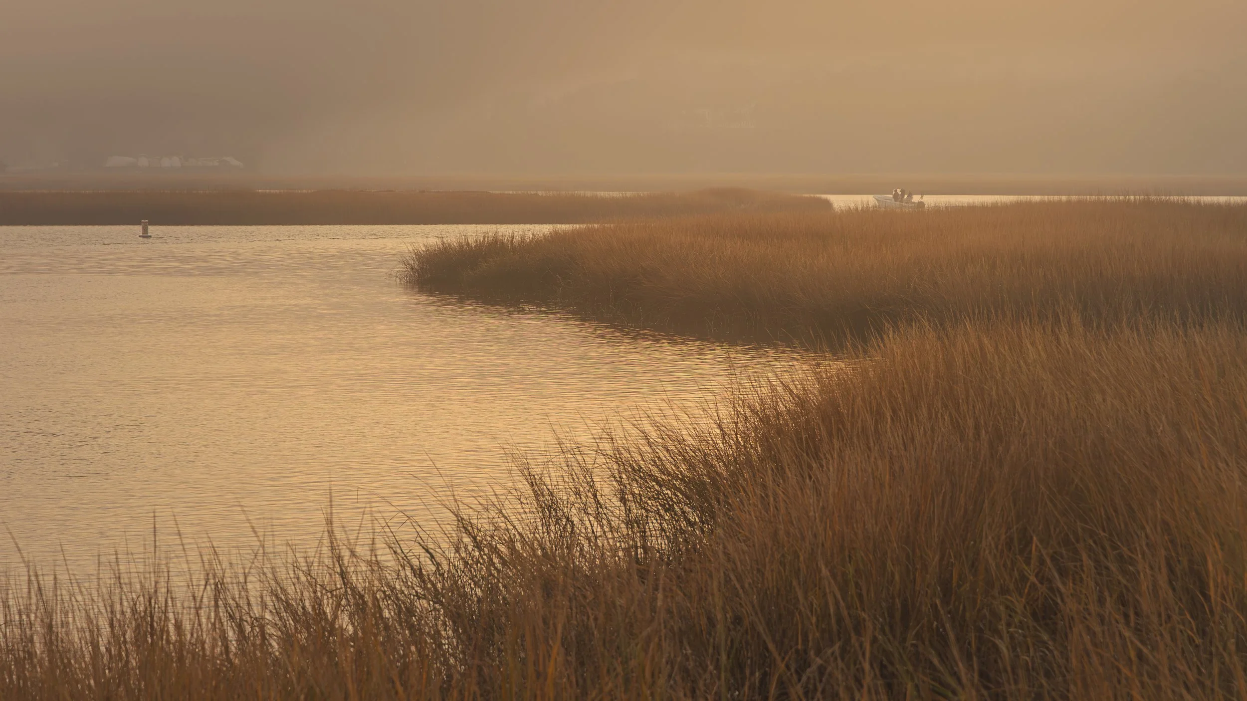 A serene river scene during sunset with golden tones, tall grasses along the riverbank, a small boat on the water, and distant land on the horizon under cloudy skies.