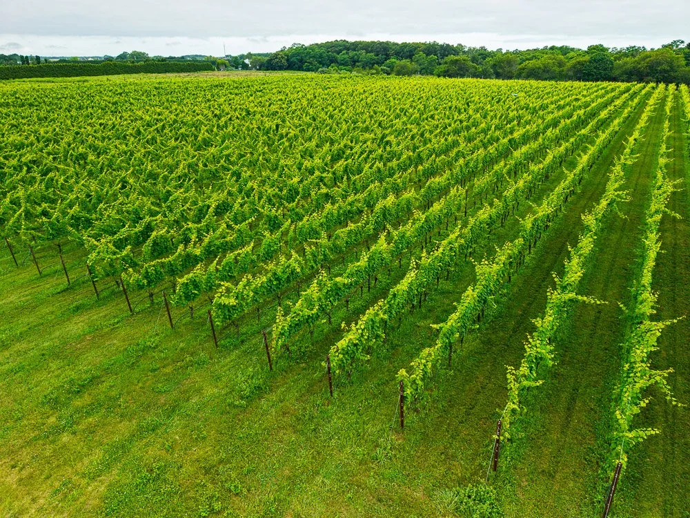 DJI_20250712074809_0007_D.jpg