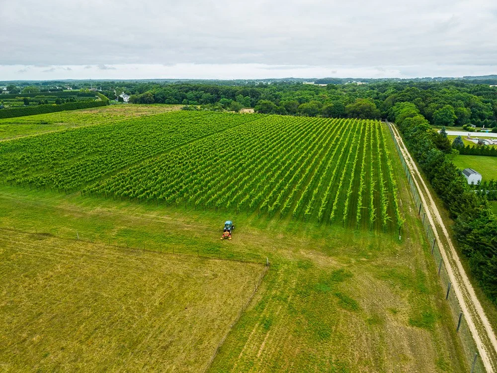DJI_20250712074629_0006_D.jpg