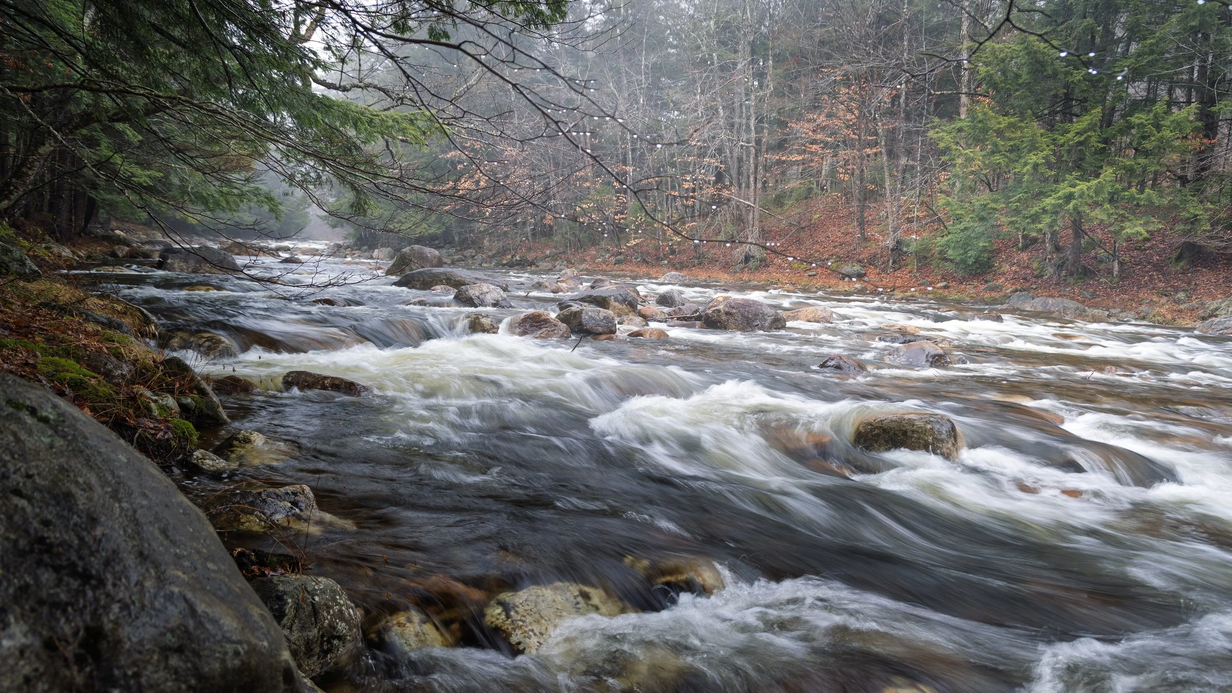 A river flowing over rocks in a forest with trees and fog in the background.