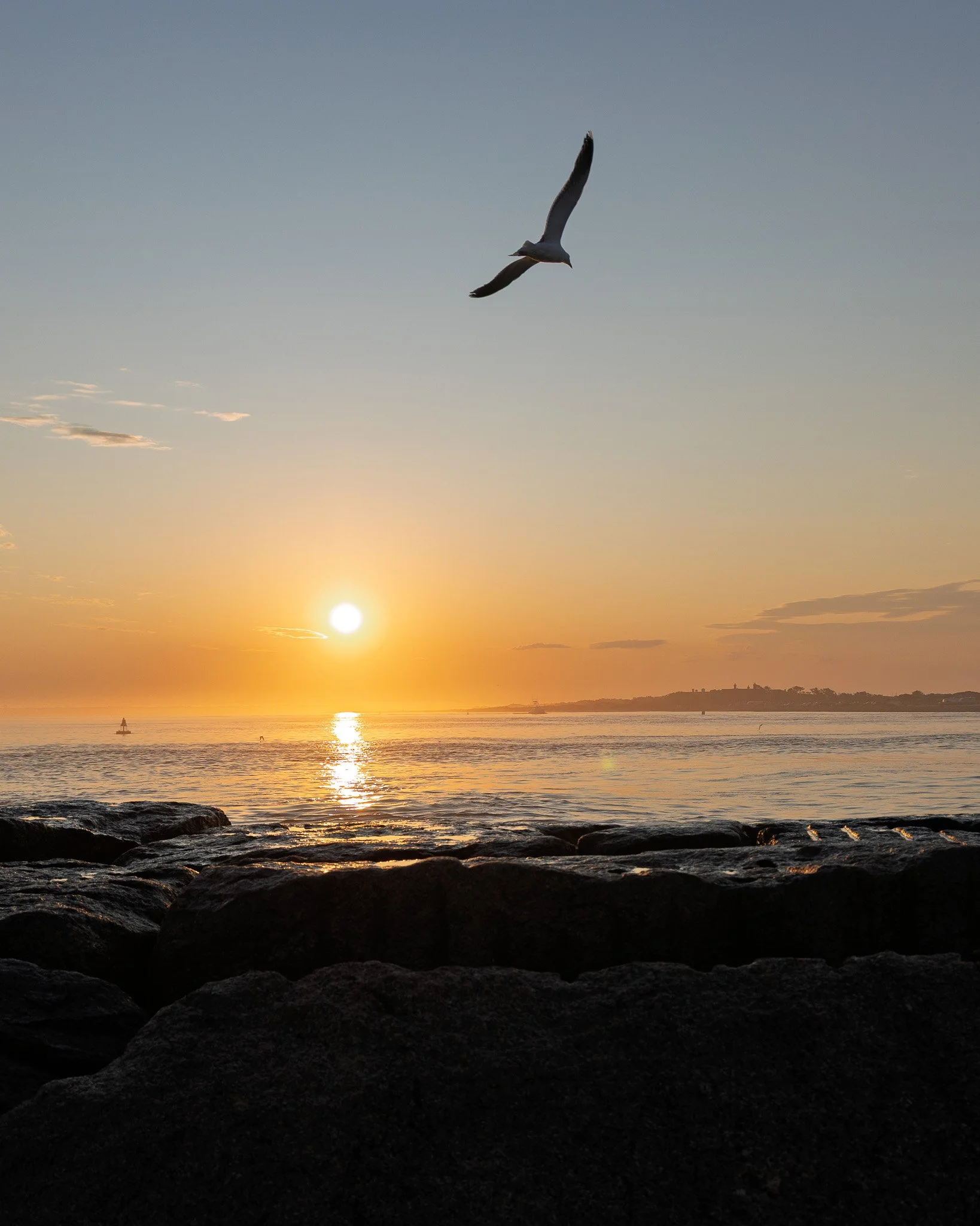 Seagull flying over the ocean at sunset with a silhouette of a rocky shore in the foreground.