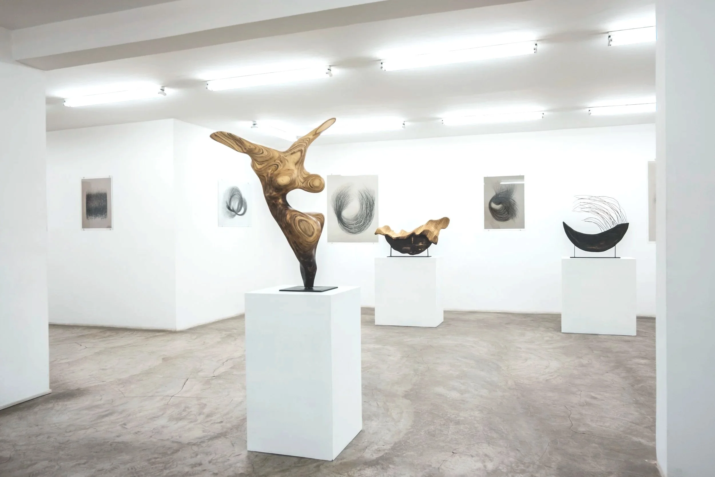 AFA+%7C+Liberty.+A+solo+show+by+Adiskidan+Ambaye_Copyright+Eyerusalem+Jiregna_3.jpg